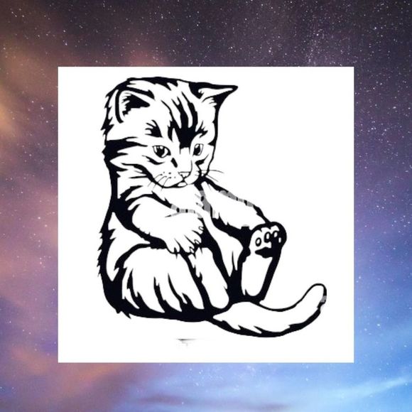 Cute Kitten Car Decal - Picture 1 of 4